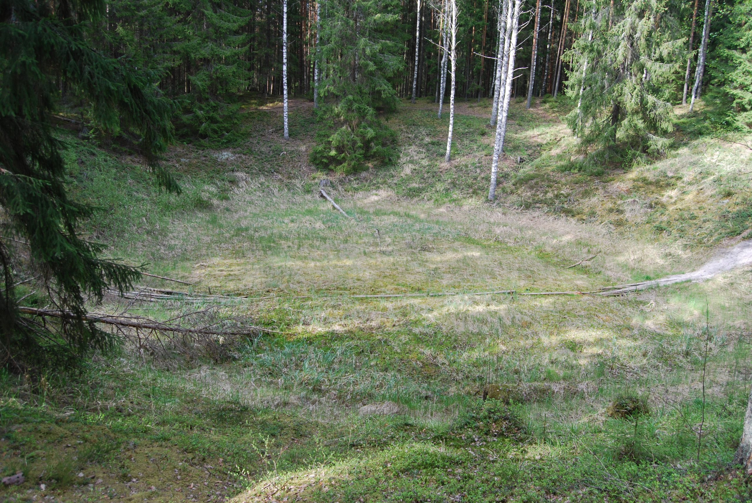 Ilumetsa crater                                                    